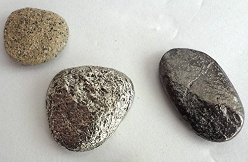 Beach Stone Push Pins, Decorative Push Pins, Unique Silver Push Pins, 15 Piece Metal Push Pin Set